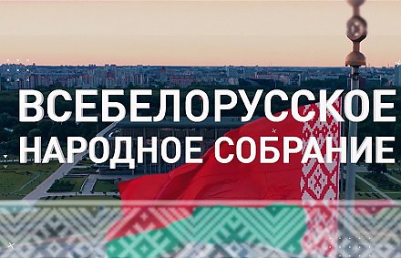 Делегатов шестого Всебелорусского народного собрания избрали на сессии Вороновского  районного Совета депутатов 30 декабря  