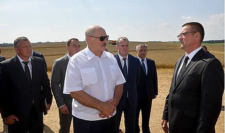 "Чтобы собрать до зернышка" - Александр Лукашенко ждет от аграриев максимум напряжения во время уборочной