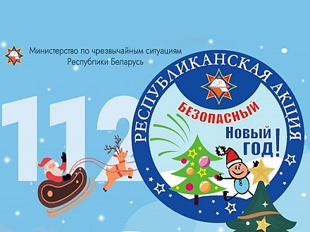 С 11 по 29 декабря МЧС проводит акцию «Безопасный Новый год!»