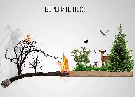 В 9 случаях из 10  виновником  лесных пожаров является человек