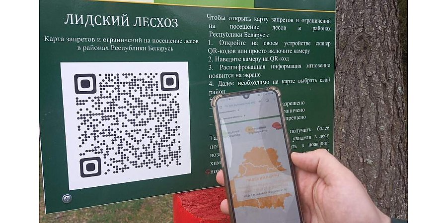 Таблички с QR-кодами быстро сориентируют граждан, можно ли посещать лес. Рассказываем, где они появились и кому принадлежит идея