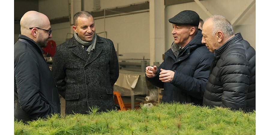 Делегация Армении изучила белорусский опыт выращивания посадочного материала