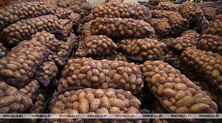 В Беларуси планируют собрать 6,1 млн т картофеля и 1,76 млн т овощей