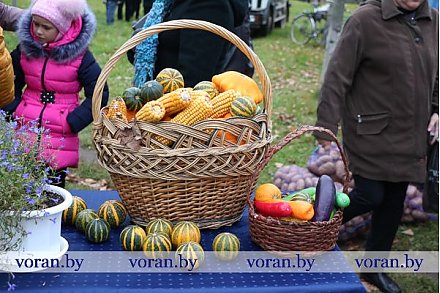 "Щедрая осень" в Радуни и Вороново (фоторепортаж, обновлено)