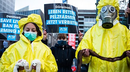 В Дании прошли акции протеста против убийства норок
