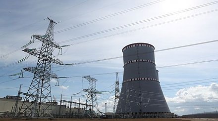 Госатомнадзор начал проверку готовности БелАЭС к завозу ядерного топлива