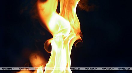 Двое демонстрантов сожгли Коран перед посольством Ирака в Дании