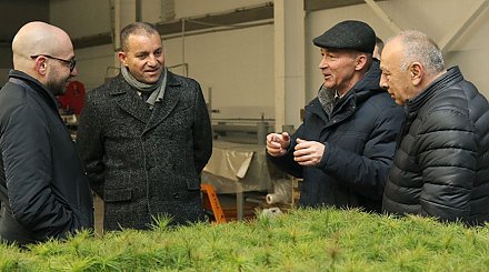 Делегация Армении изучила белорусский опыт выращивания посадочного материала