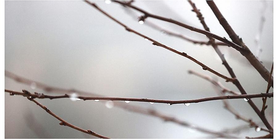 Оранжевый уровень опасности из-за тумана объявлен в Беларуси на 13 февраля