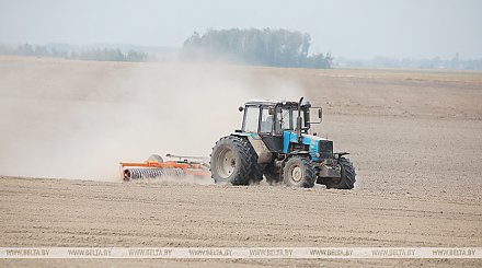 Массовый сев озимых зерновых начался в Беларуси