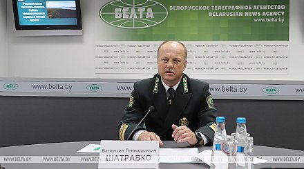 В Беларуси в этом году произошло 828 лесных пожаров