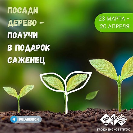 Посади дерево — получи в подарок саженец! Сегодня в Беларуси стартовала республиканская акция "Аднавiм лясы разам!"