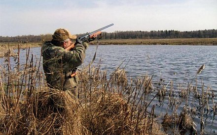 В Беларуси начался сезон охоты на пернатых