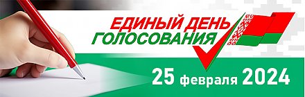 Единый день голосования в Республике Беларусь (ВИДЕО)