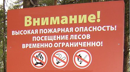 Посещение лесов запретили более чем в 50 районах Беларуси