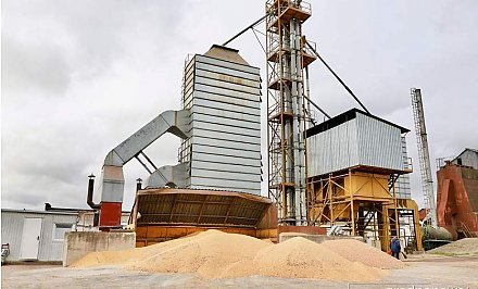 В Гродненской области близится к концу уборочная кампания. Валовый сбор зерна в регионе уже составляет более 2 миллионов тонн