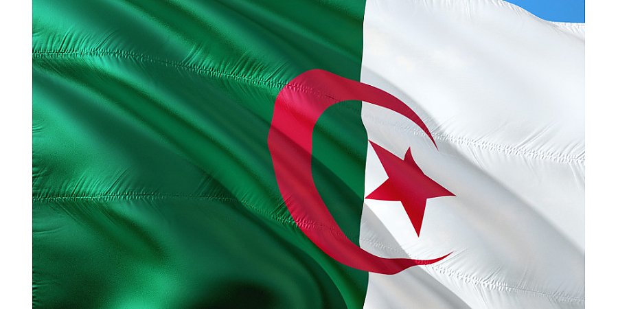 Алжир готов присоединиться к межгосударственному объединению БРИКС