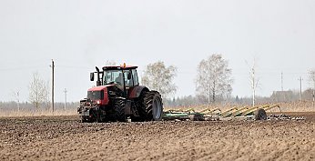 Ранние яровые зерновые в Беларуси посеяли более чем на 88% площадей