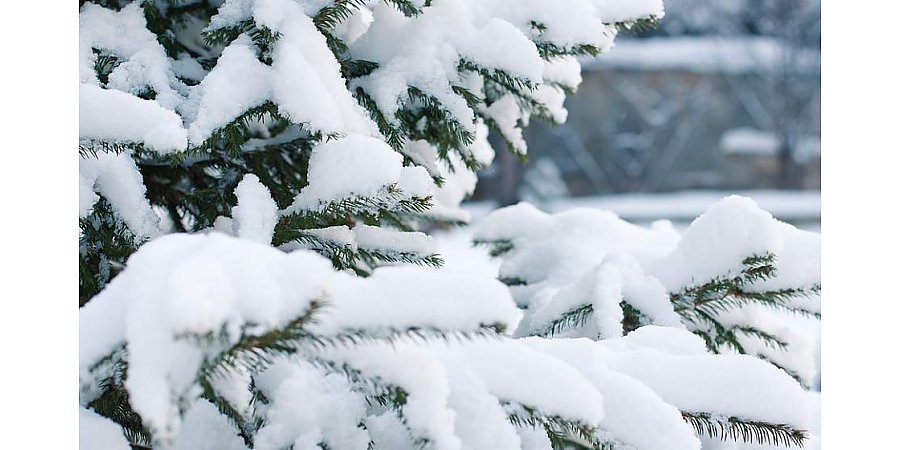 Оранжевый уровень опасности из-за сильного снегопада объявлен в Беларуси 3 января
