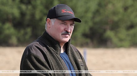 Лукашенко в субботник будет работать на посадке деревьев в Петриковском районе