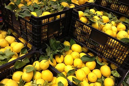 Сообщения о значительном росте цен на лимоны, имбирь и чеснок поступили на телефонную линию МАРТ
