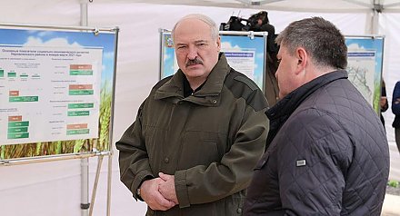 Александр Лукашенко о развитии чернобыльских территорий: надо четко понимать, где будут жить люди