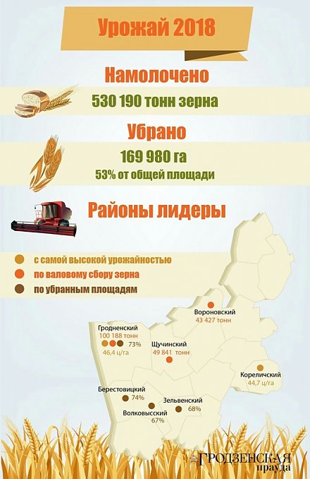 Рубеж в полмиллиона тонн по намолоту зерна преодолели аграрии Гродненщины (+инфографика)