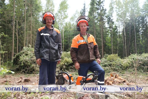 Нарбут Шестак