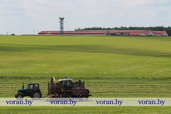 ксуп Гирки заготовка кормов