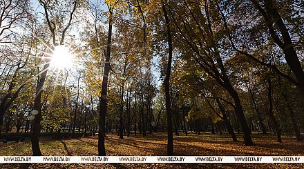 До +11°С будет сегодня в Беларуси