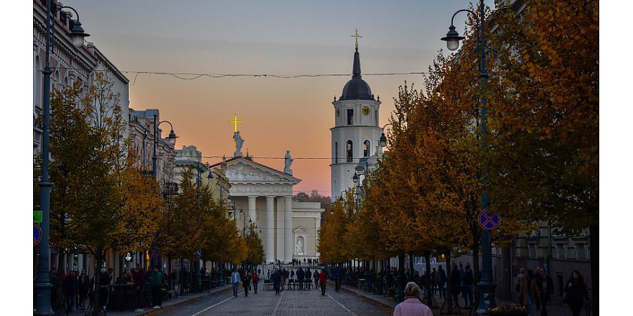 "Европейцы не будут терпеть вечно". Стариков о растущих акциях протеста на Западе