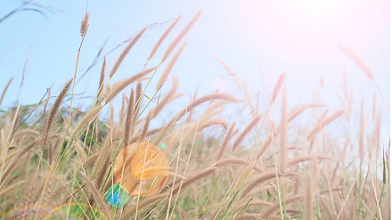 Народные приметы на 16 августа: что можно и нельзя делать в этот день