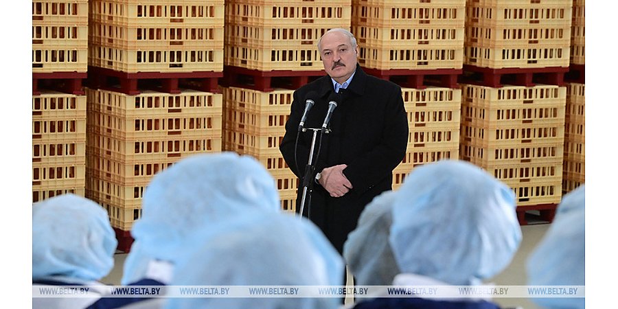 Лукашенко: с Путиным тема конституционной реформы не затрагивалась, кроме как в общих чертах
