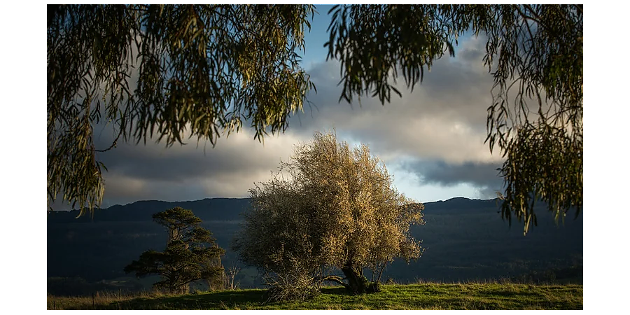 Народные приметы на 6 августа: что можно и нельзя делать в этот день