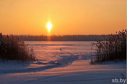 Татьянин день: как его отмечали наши предки и при чем тут студенты