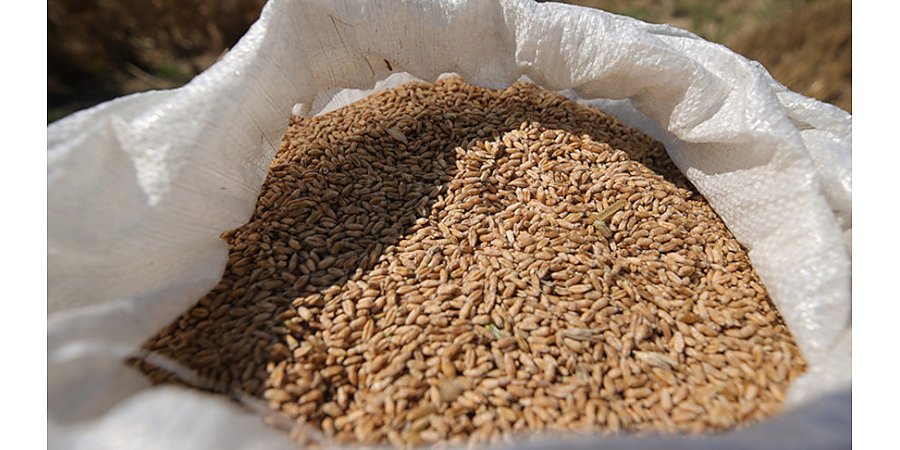 В ЕС признали необходимость прекращения импорта продукции из Украины