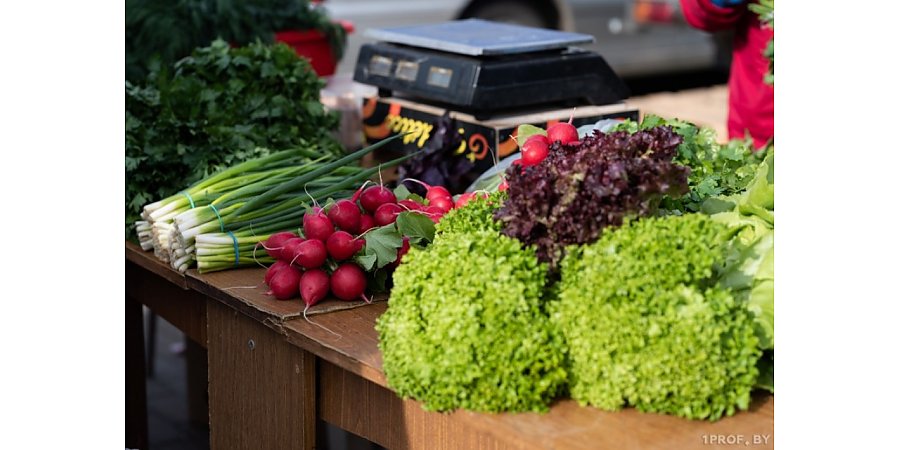 Сезон весенних ярмарок стартует в Гродненской области