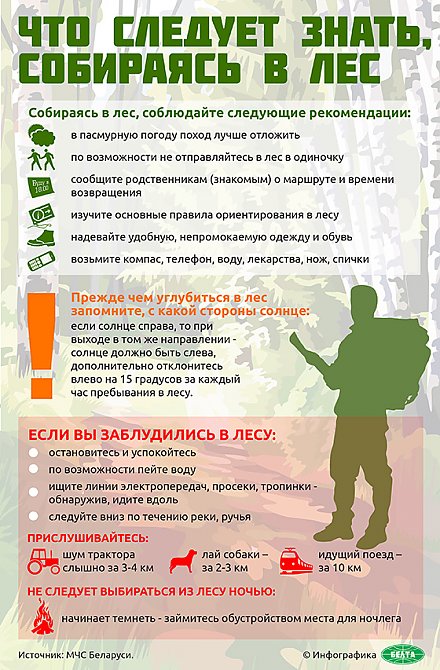 Инфографика: Что следует знать, собираясь в лес