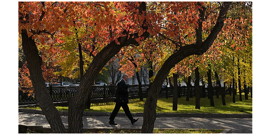 Как по звездам предсказывали будущее: приметы и суеверия на 25 октября 