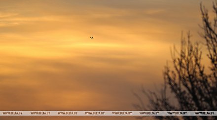 Великобритания в коалиции с Латвией передаст Украине тысячи беспилотников