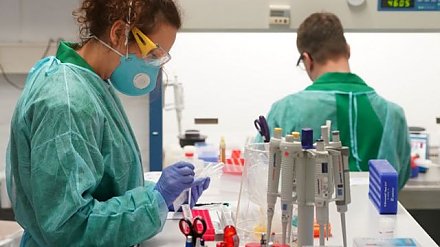 За сутки в Беларуси зарегистрированы 1988 пациентов с COVID-19, выписаны 2130