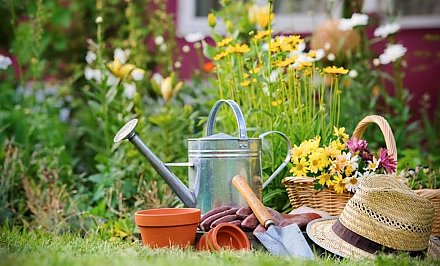 Как спасти огород от избытка влаги после проливных дождей