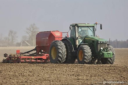 Аграрии Беларуси засеяли озимыми зерновыми почти половину запланированных площадей