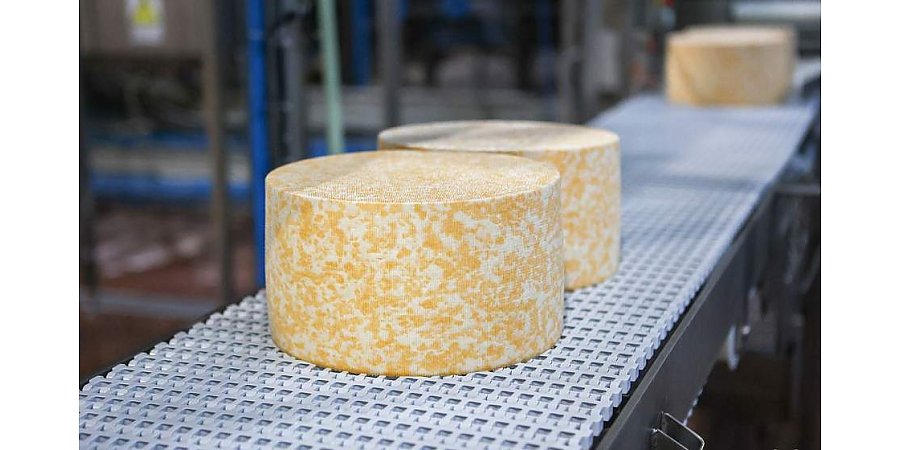 Мебель, сыры, древесные плиты и картон - Гродненская область наращивает объем поставок в Башкортостан