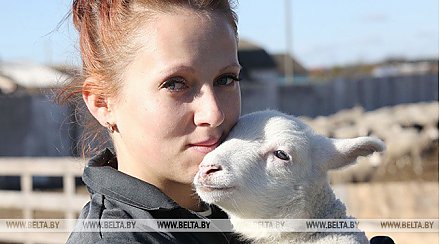 Совмин утвердил меры по реализации Директивы о развитии села