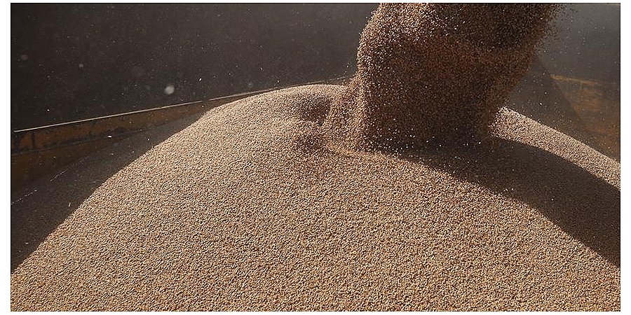 Более 2 млн тонн зерна намолочено в Гродненской области