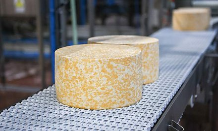 Мебель, сыры, древесные плиты и картон - Гродненская область наращивает объем поставок в Башкортостан