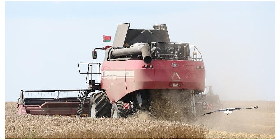 Глава Минсельхозпрода: темпы уборки зерновых ускоряются