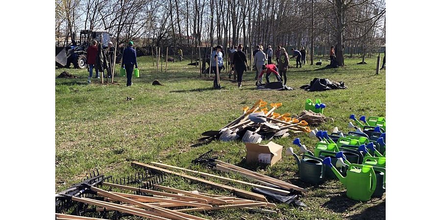 В Минтруда и соцзащиты напомнили о мерах безопасности при проведении республиканского субботника