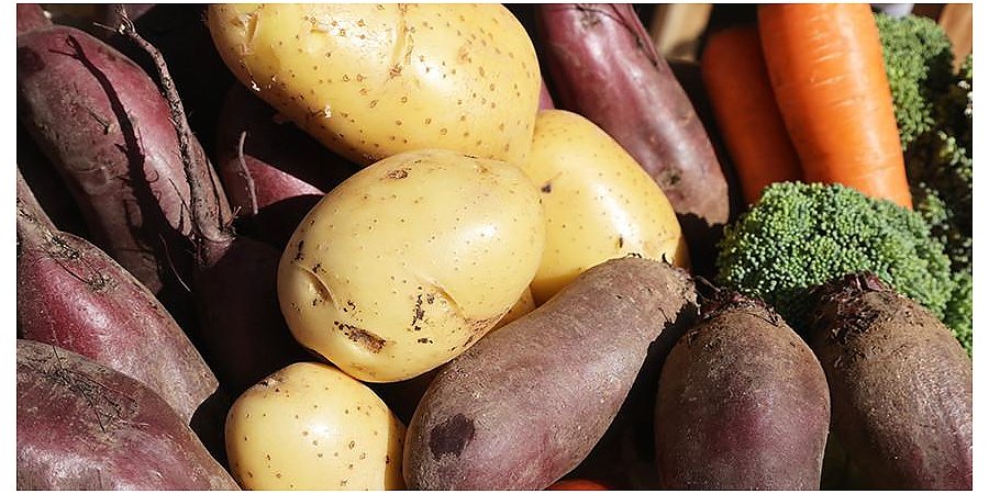 МАРТ рассказал, что будет с ценами на овощи в этом межсезонье